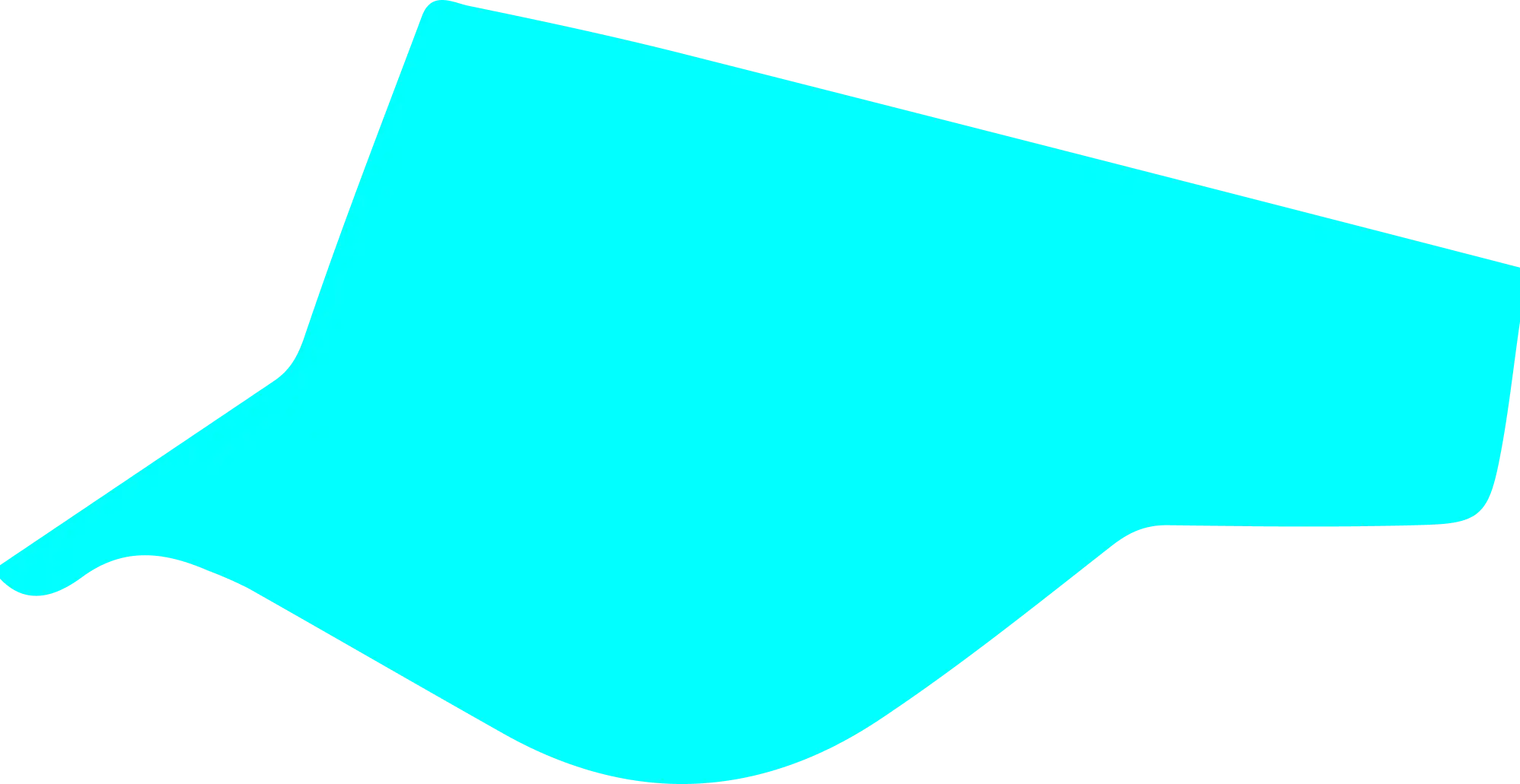 visera